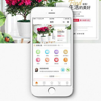 船山门店微商城小程序开发