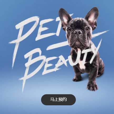 船山宠物中心小程序开发